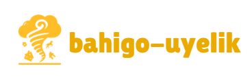 Bahigo Üyelik